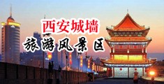 少妇淫穴中国陕西-西安城墙旅游风景区